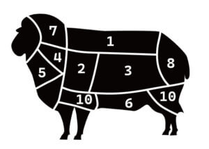 ウールメインボディ