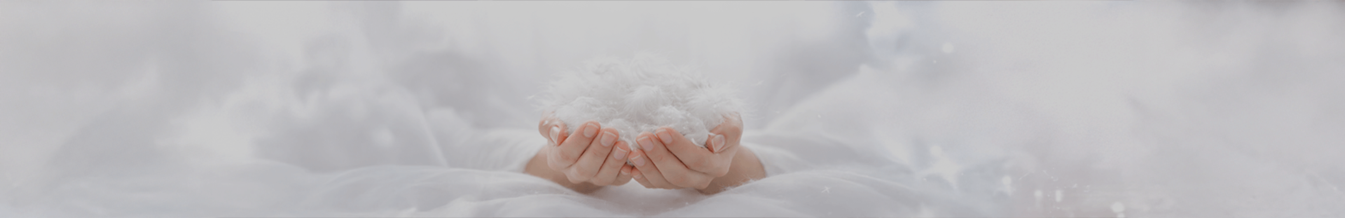 こだわりの羽毛ふとん