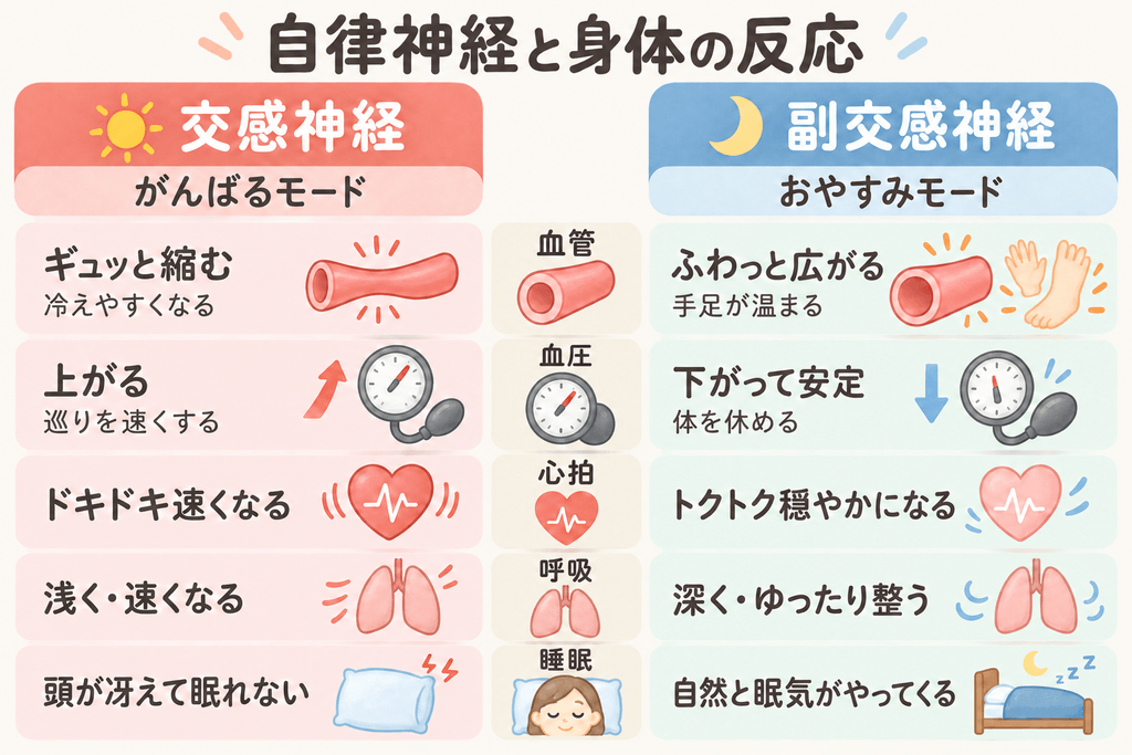 交感神経と副交感神経の働きと睡眠の関係を説明するイラスト
